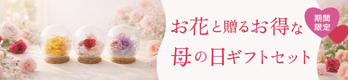 お花と贈るお得な母の日ギフトセット