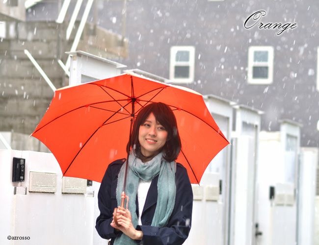 ワカオ 日本製雨傘 長傘 55cm WAKAO 雨傘 細巻き バンブーハンドル