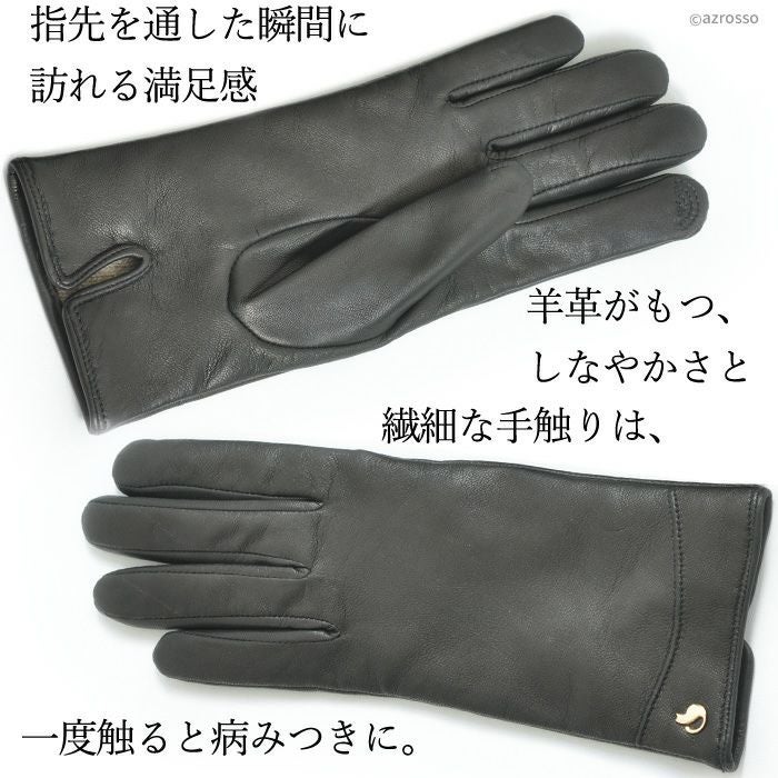 スマホ対応 手袋 防水 レザー 裏地カシミヤ100｜DAL DOSSO ダルドッソ