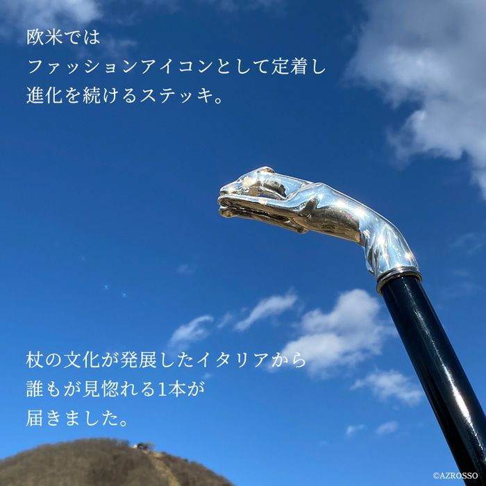 おしゃれな杖とステッキの通販｜ブランドセレクトシンフーライフ