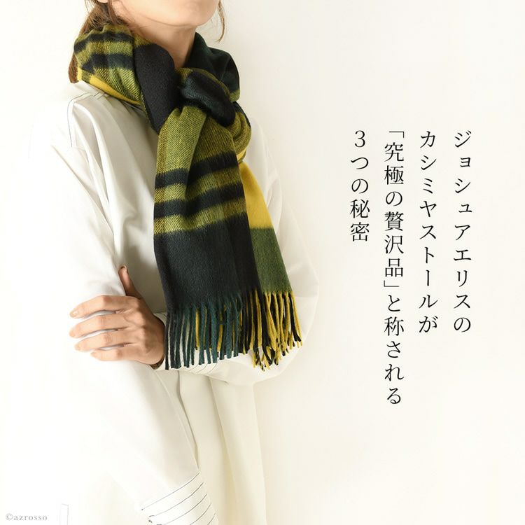 000000004211-04.jpg?size=l&w=
