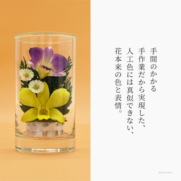 000000004774-05.jpg?size=l&w=