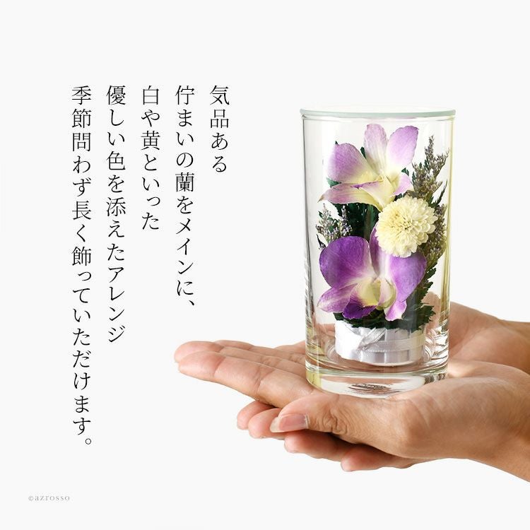 000000004774-10.jpg?size=l&w=