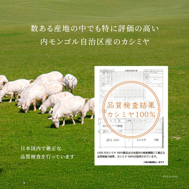 マフラー メンズ ブランド プレゼント カシミヤ100 ギフト 暖かい 冬
