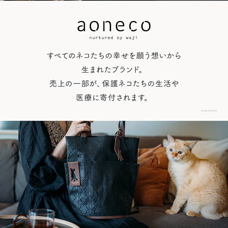 日本製 キャンバス ミニ ショルダーバッグ レディース 斜めがけ 大人