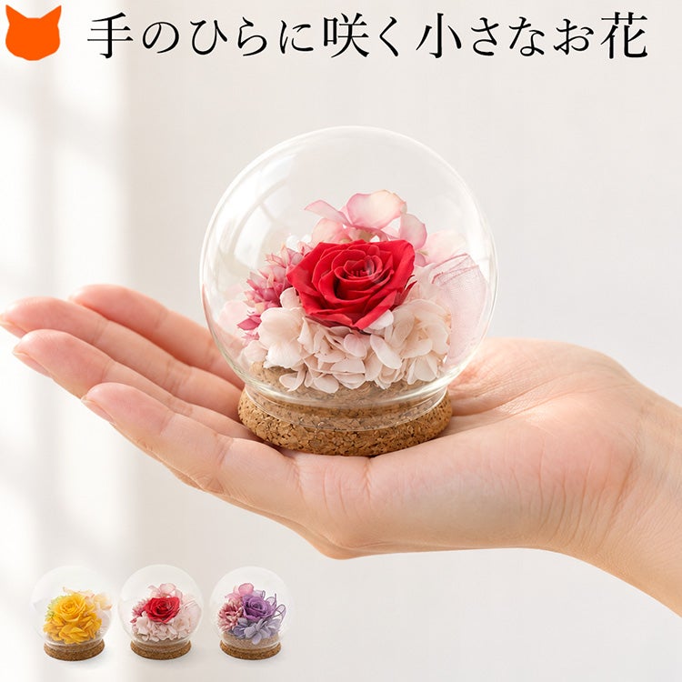 ローズを中心にプリザーブドフラワーとドライフラワーを飾った手のひらサイズのガラスドーム。ピンク・パープル・イエローの3色。